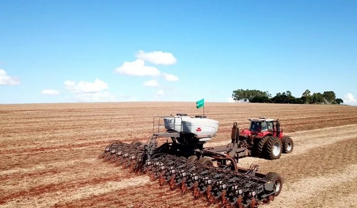 Clima chuvoso prejudicou safra de café no Paraná; plantio de soja